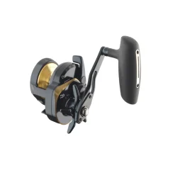 Daiwa 24 Saltiga (G) 15L Multirolle Slow Jigging Angelrolle