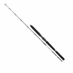 Daiwa BG Meeresruten