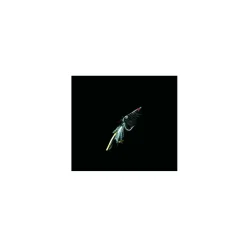 Dega Shrimp-Fly Gr.1/0 Schwarz/silber