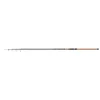 Diabolo Golden Circle Tele 75 2,70 m WFG: 20 – 75 g